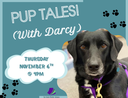 NOvember 6 puptales.png